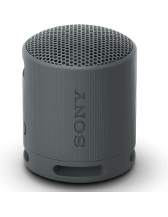 ph2Altavoz inalambrico portatil XB100 h2h2Cuerpo compacto y sonido potente y nitido h2pbSRS XB100 b ppPreparate para un sonido 